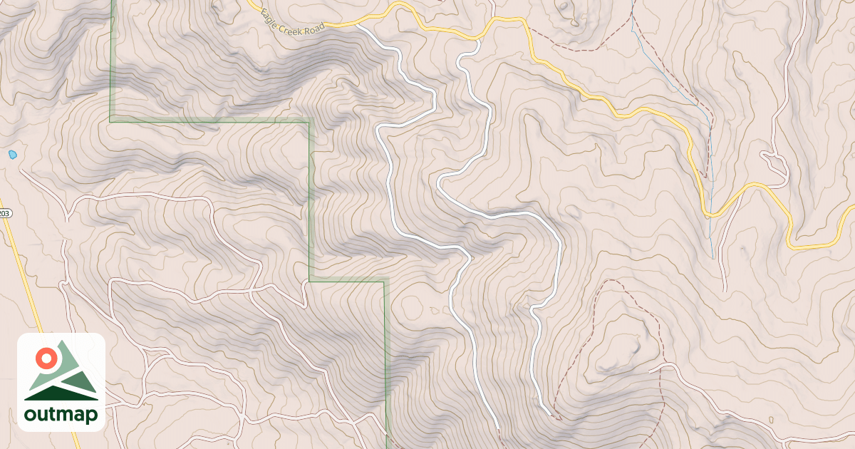 Map of USFS National Forest System Roads {7668C77C-4ECA-49CD-A705-4B4217E7489F}
