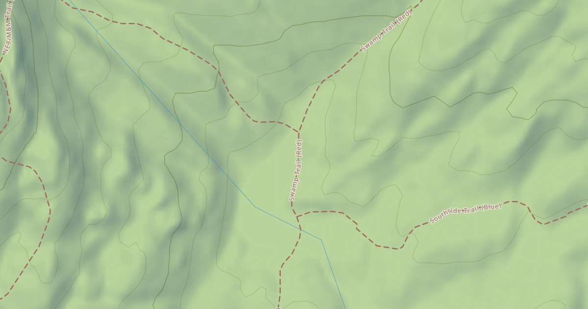 Map preview of Swamp Trail