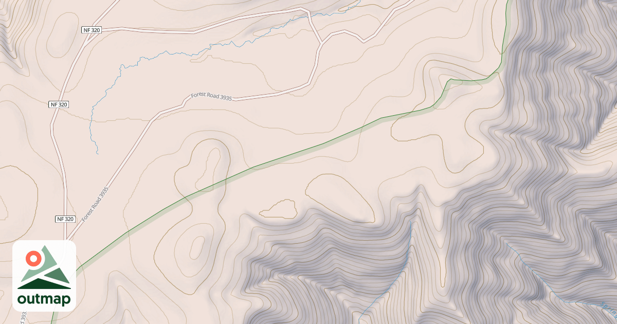 Map of USFS National Forest System Roads {322B9518-2606-4AEF-B89A-720EBB8C8EF3}