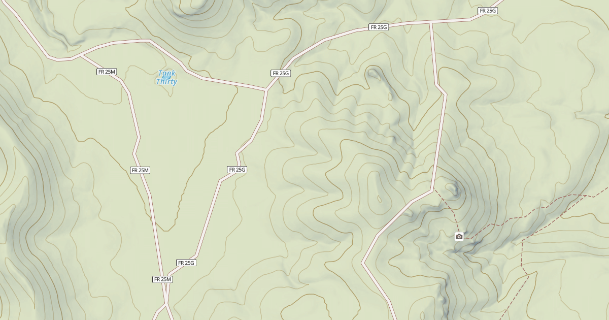 Map preview of USFS Motor Vehicle Use Map Roads {71730E31-FFB3-43A4-97AF-324C2764DACE}