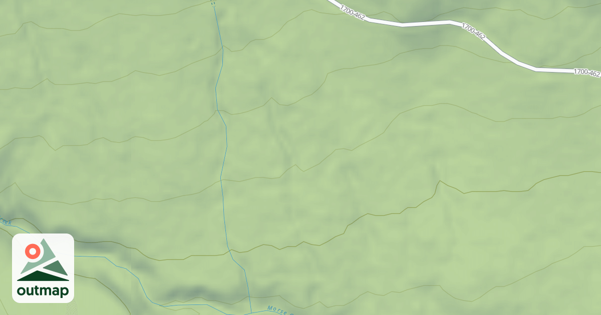Map of USFS National Forest System Roads {25D885A3-21A2-48F3-8E0E-69524F71D4BC}