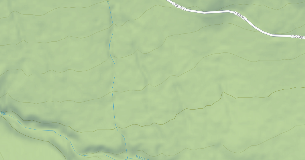 Map preview of USFS National Forest System Roads {25D885A3-21A2-48F3-8E0E-69524F71D4BC}