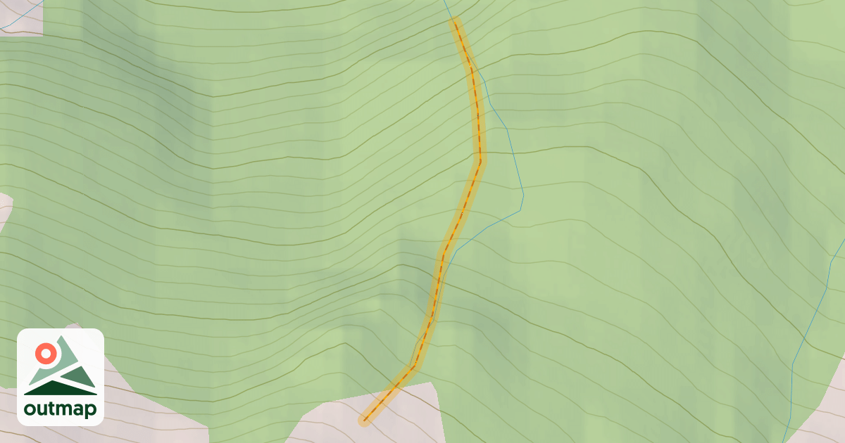 Map of Bonney Trees