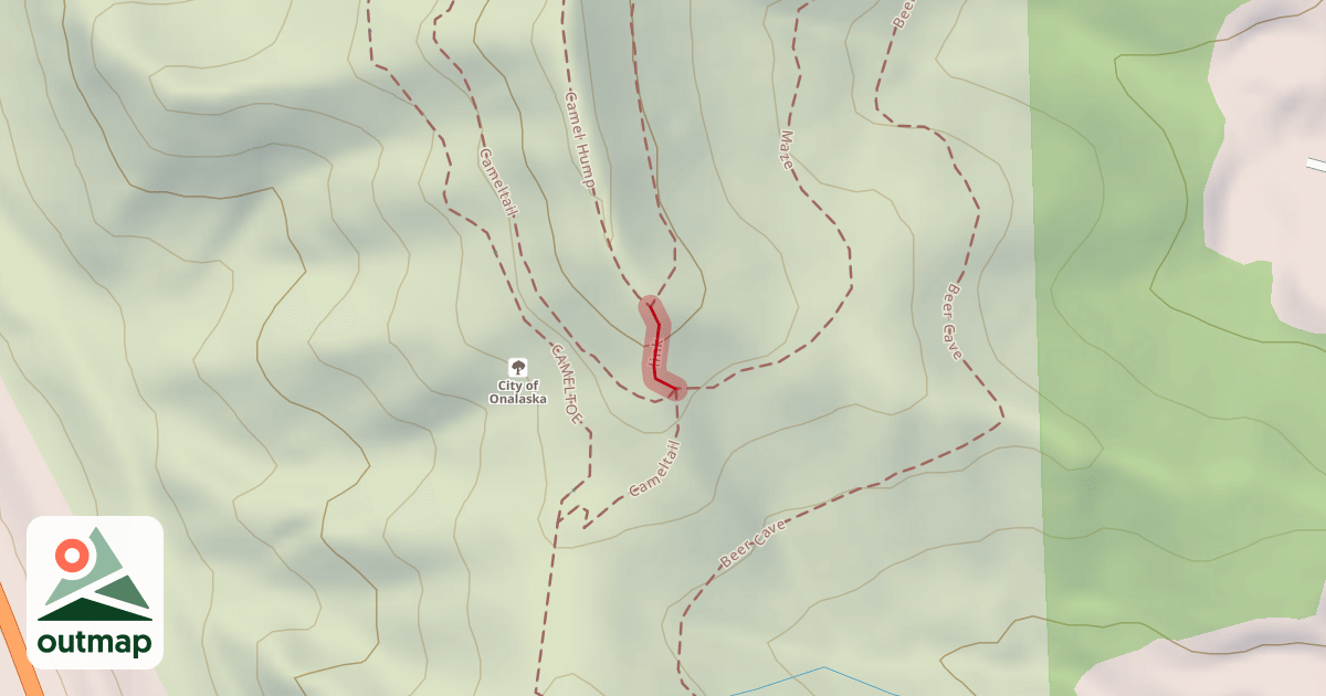 Map of link