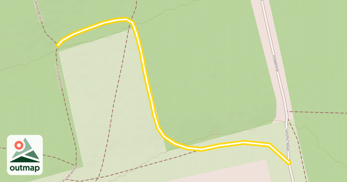 Map of T-Field Loop