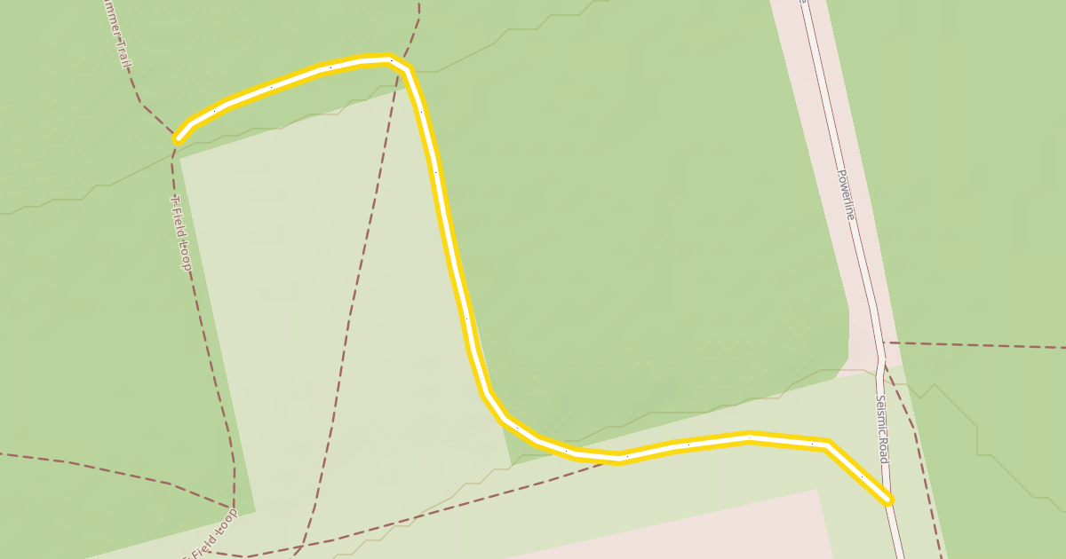 Map preview of T-Field Loop