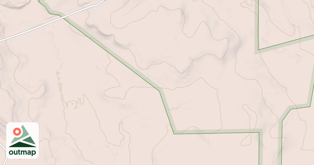 Map of USFS Motor Vehicle Use Map Roads {9892682E-6E65-47C1-97C1-C79CD24724C5}