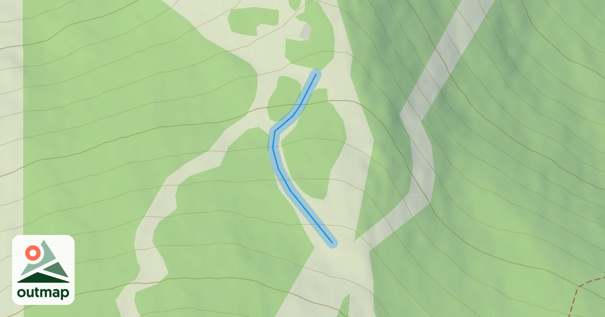 Map of David's Detour