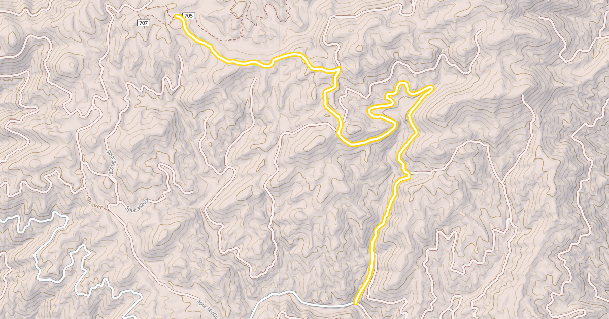 Map preview of Wayout Trail