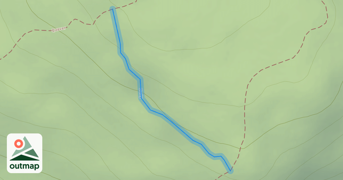 Map of Burly