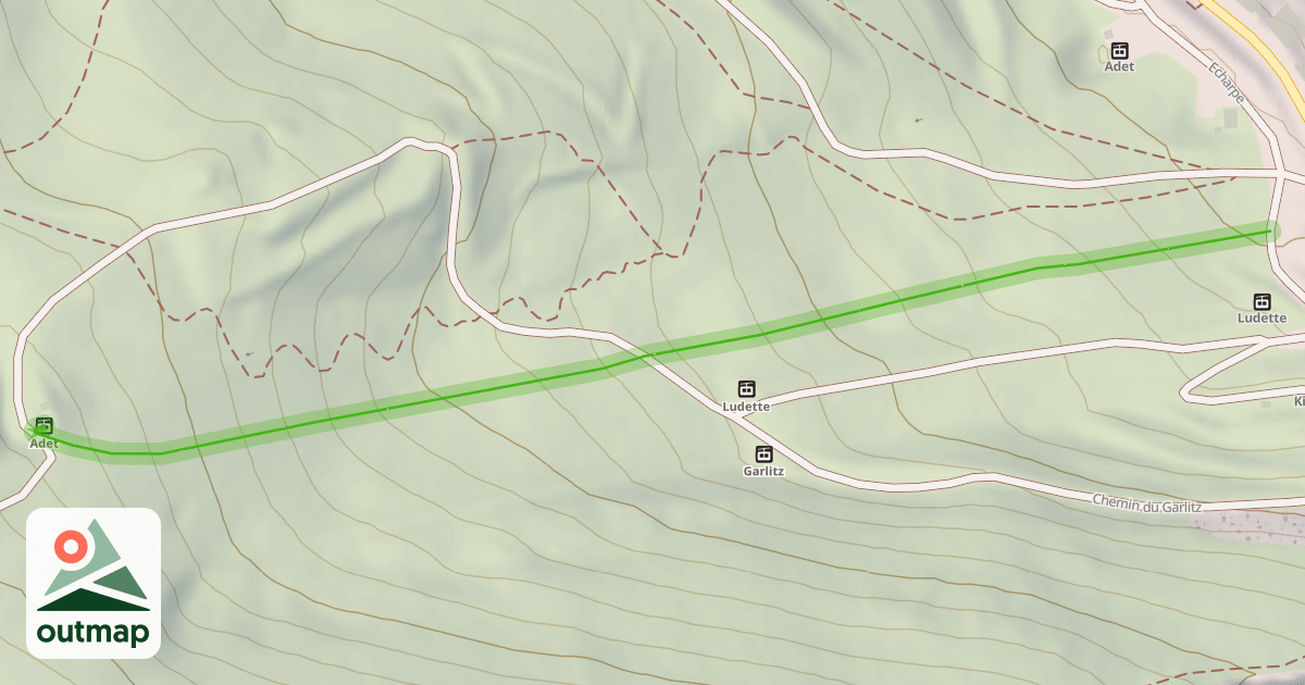Map of Mickeys