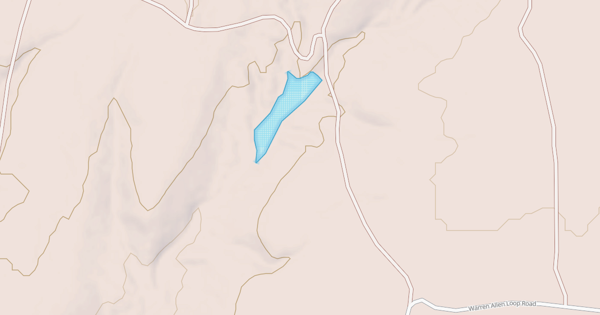 Map preview of BLM National GTLF Public Motorized Roads 0c1a0e71-cd6d-4c73-b115-1ed16d648aa1