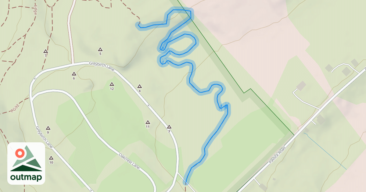 Map of T-Rex 2