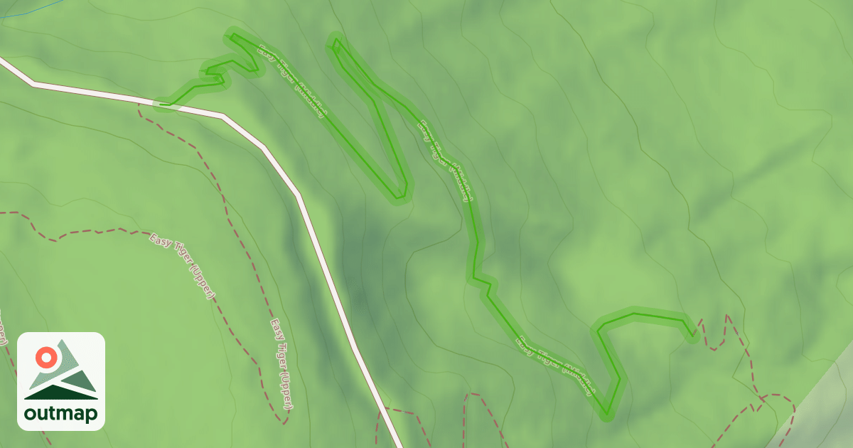 Map of Easy Tiger (Middle)