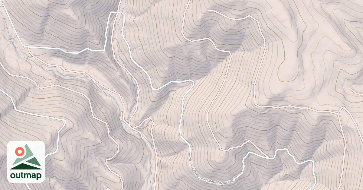 Map of USFS National Forest System Roads {517F3B16-1272-4D2C-B253-991E2E4E37BF}
