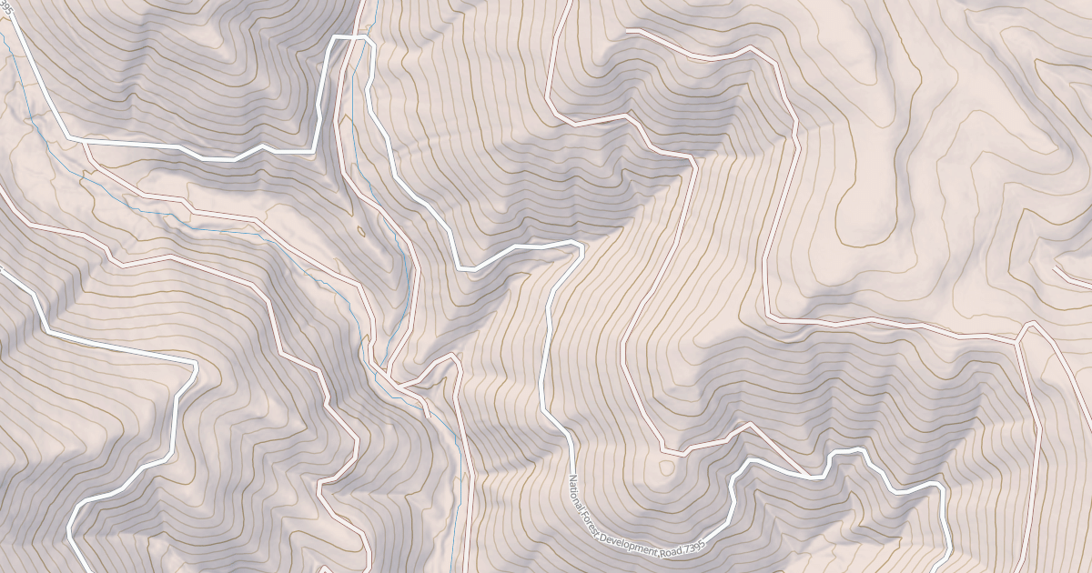 Map preview of USFS National Forest System Roads {517F3B16-1272-4D2C-B253-991E2E4E37BF}