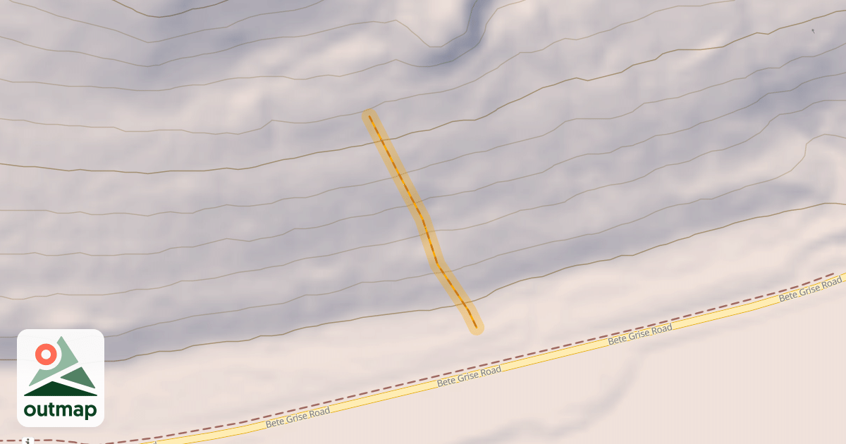 Map of Wandering Grizzly
