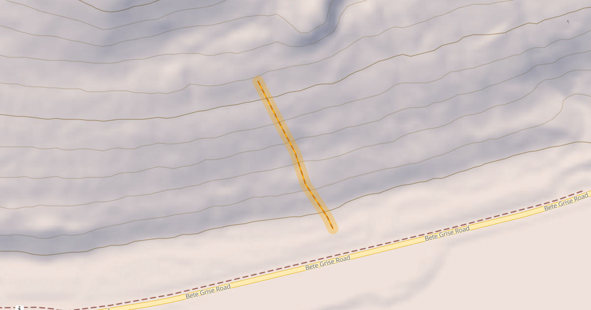 Map preview of Wandering Grizzly