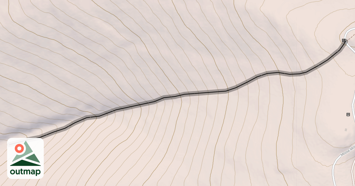 Map of Grizzly Gulch