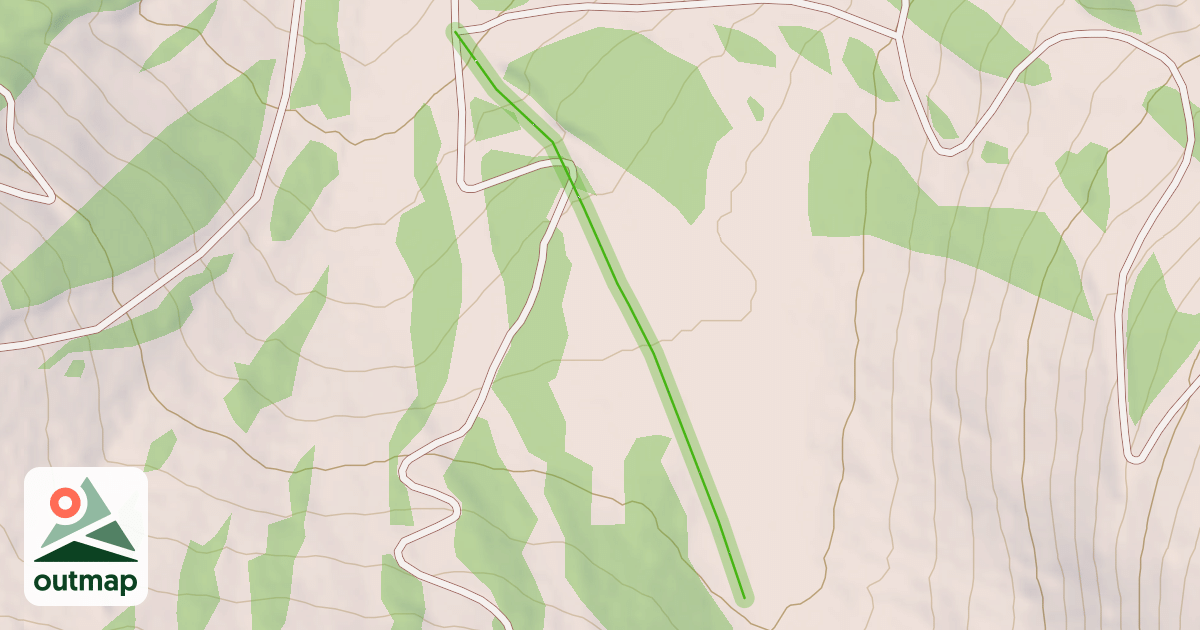 Map of Forest Meadow