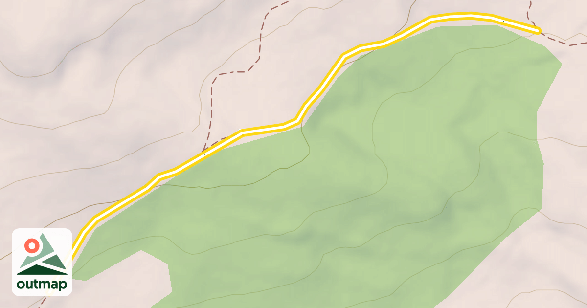 Map of Lynch