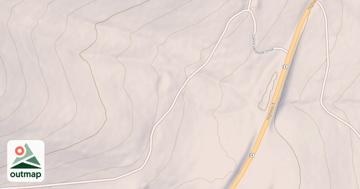 Map of USFS National Forest System Roads {5F5B7985-499A-435F-9906-65A54444C2A3}