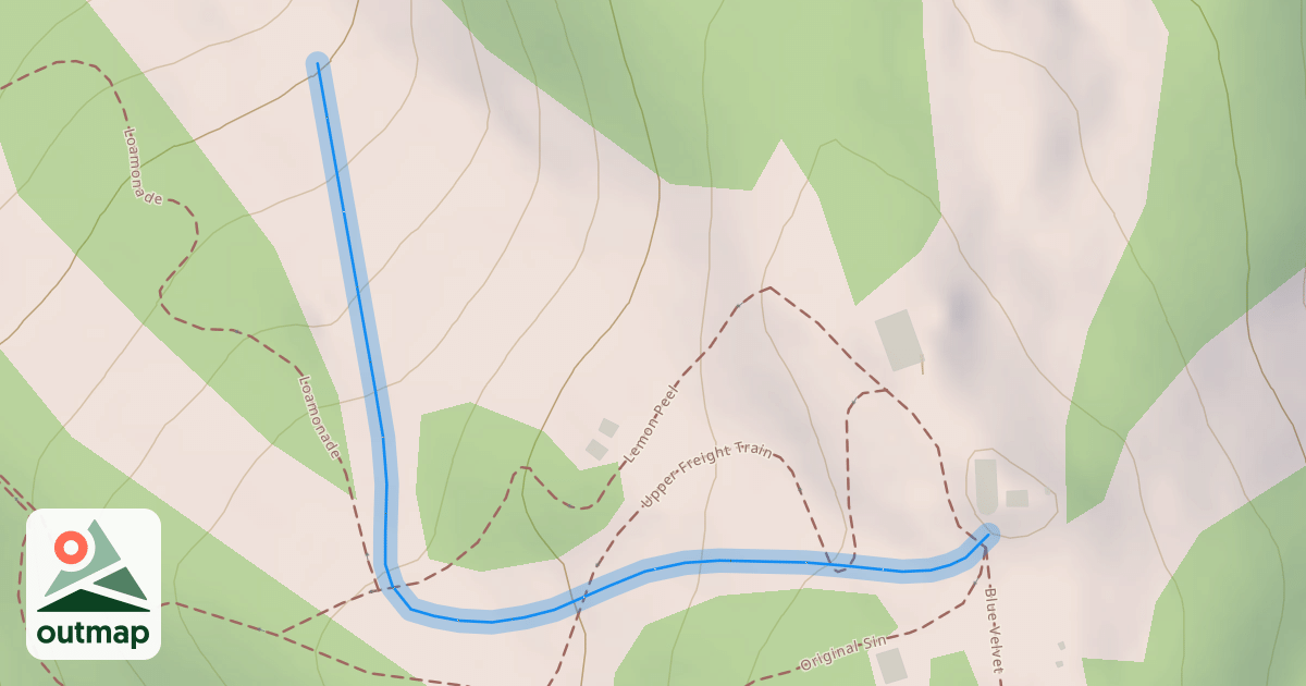 Map of Lemon Peel