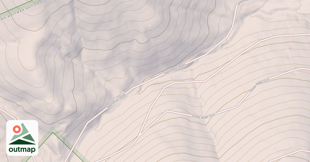 Map of USFS National Forest System Roads {01160E8E-6462-46DB-BF21-39D80125415D}