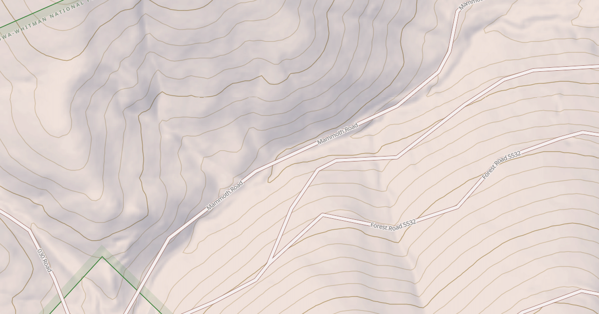 Map preview of USFS National Forest System Roads {01160E8E-6462-46DB-BF21-39D80125415D}