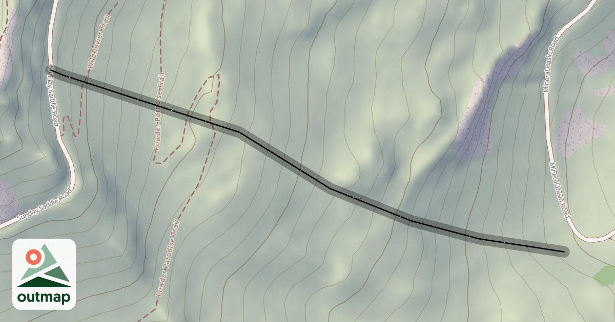 Map of Nash Flora Lode