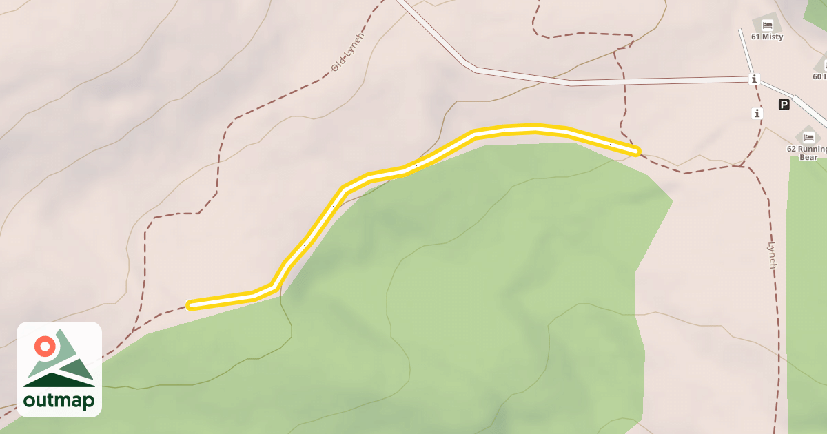 Map of Lynch
