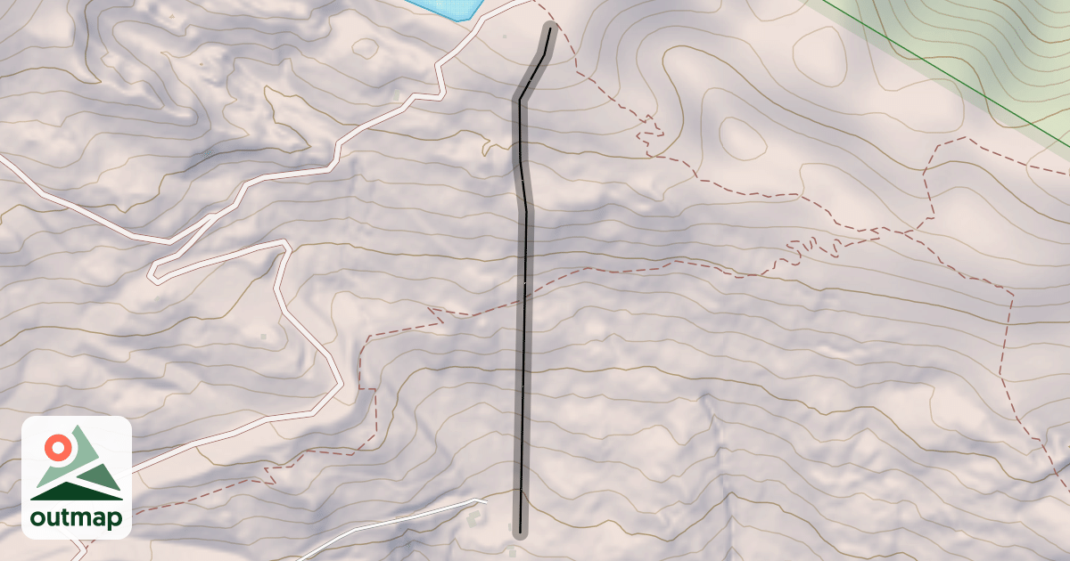 Map of Race Arena