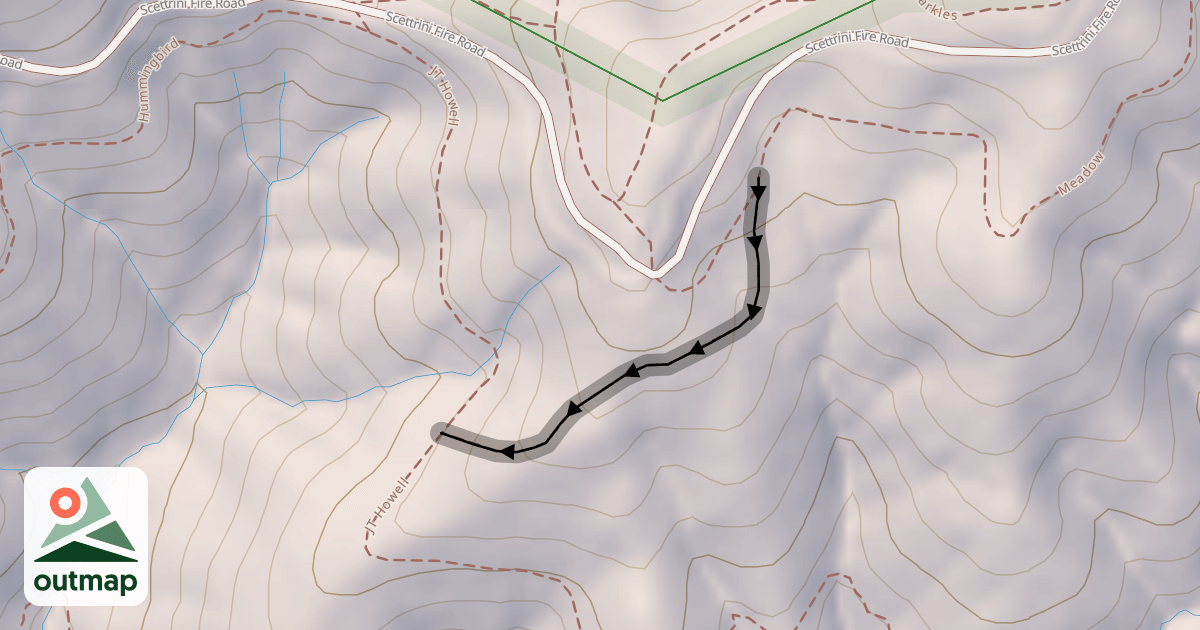 Map of Meadow X