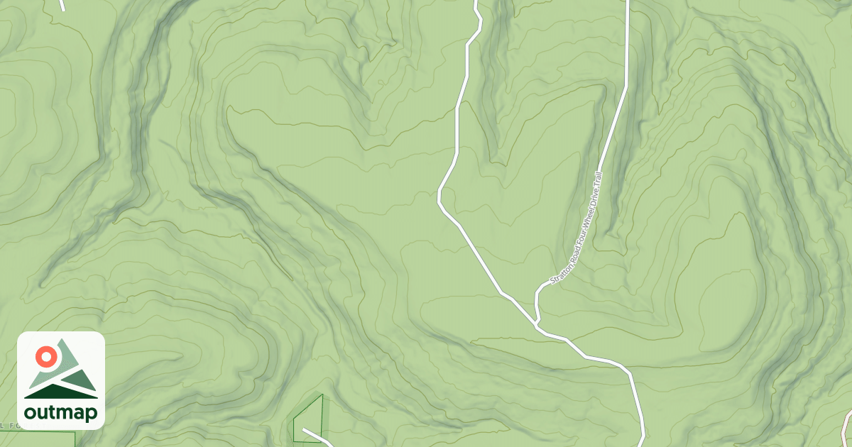 Map of USFS National Forest System Roads {1FE86988-E2B8-48BB-8AD0-16C481AA4575}