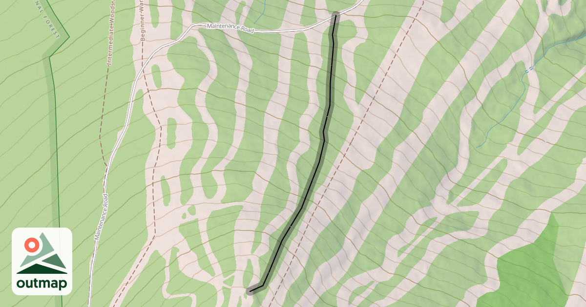 Map of Shredwood Forest
