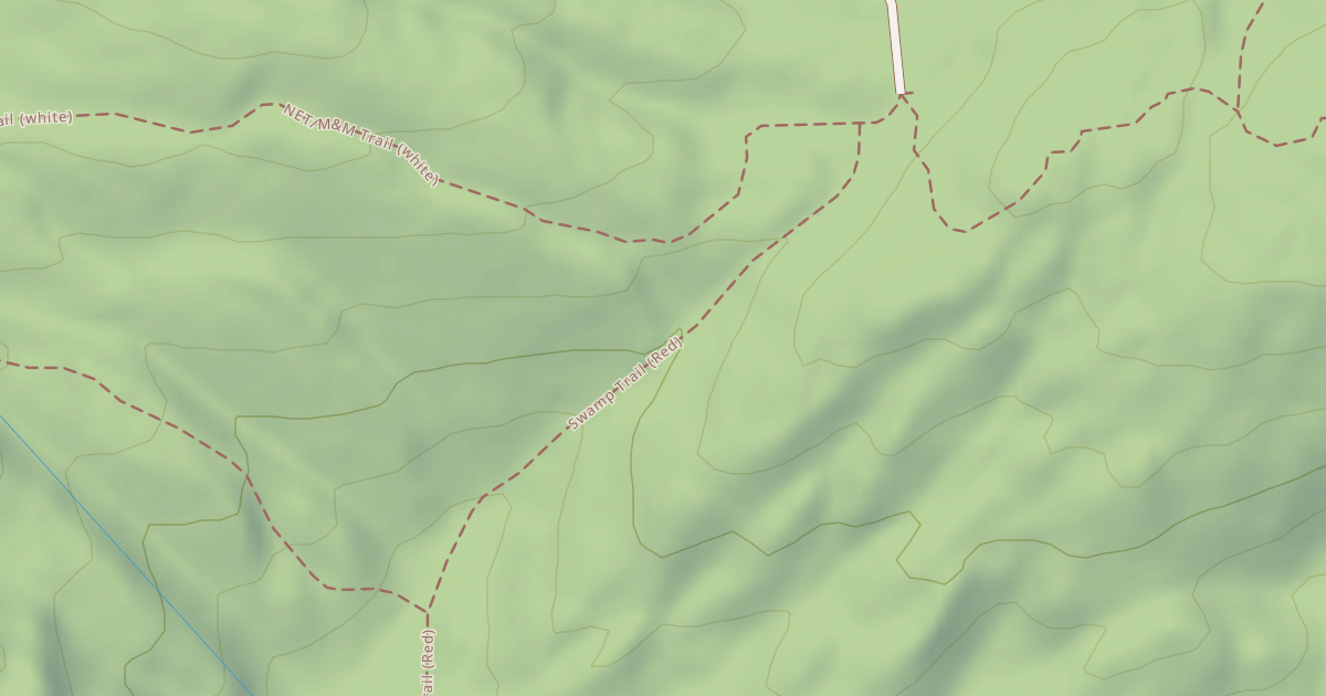 Map preview of Swamp Trail