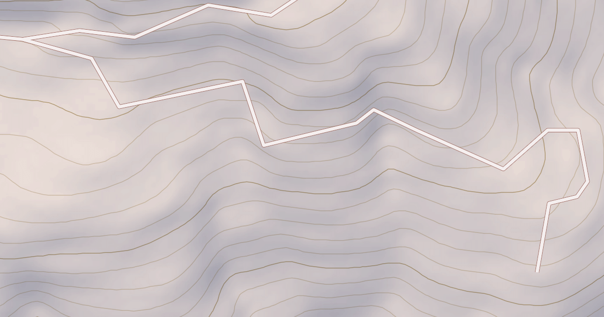 Map preview of BIRDSEYE T.S.