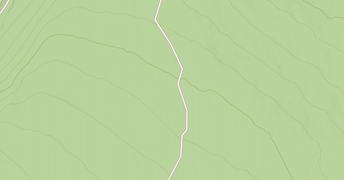 Map preview of BLM National GTLF Public Motorized Roads 5e5e0584-ac10-4497-ba0d-18c1eaa1b5ed
