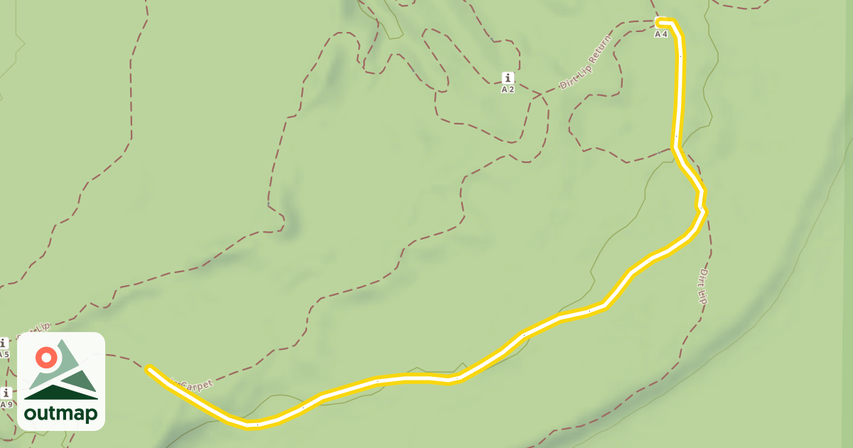 Map of The Buzz