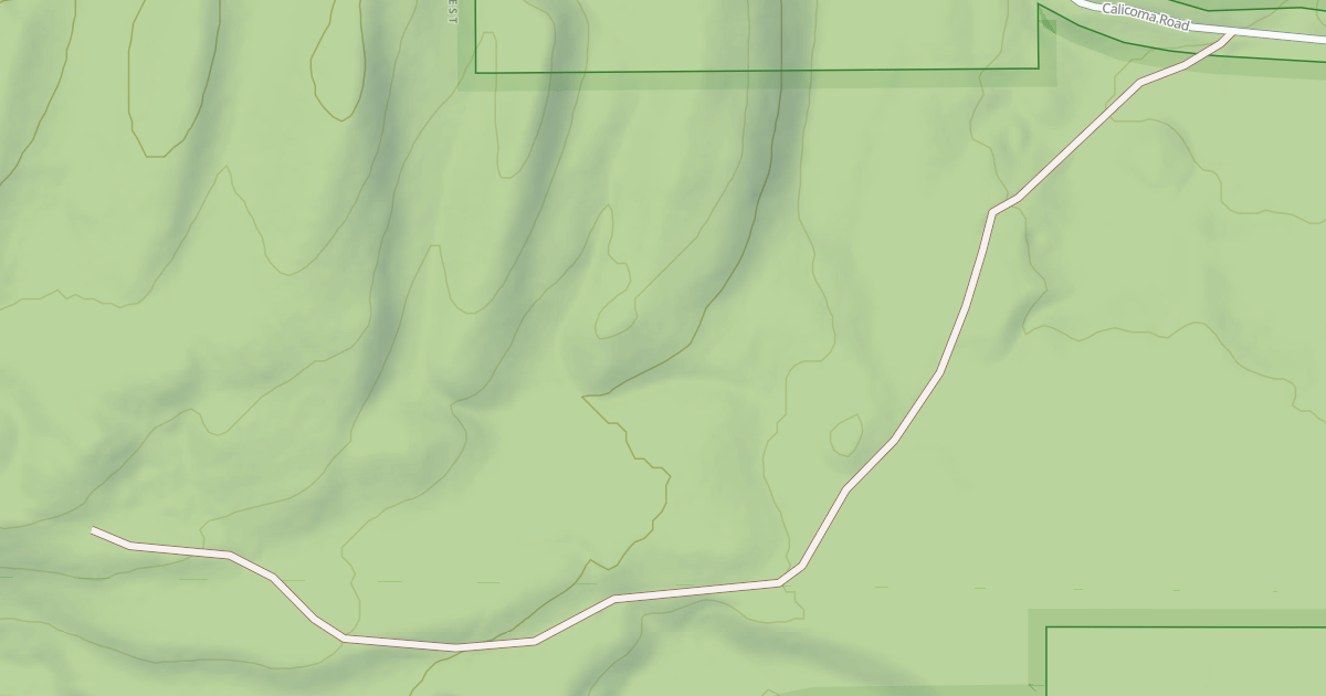 Map preview of USFS Motor Vehicle Use Map Roads {2D0B509D-DC51-4C53-A6A1-2464DC8A71FE}