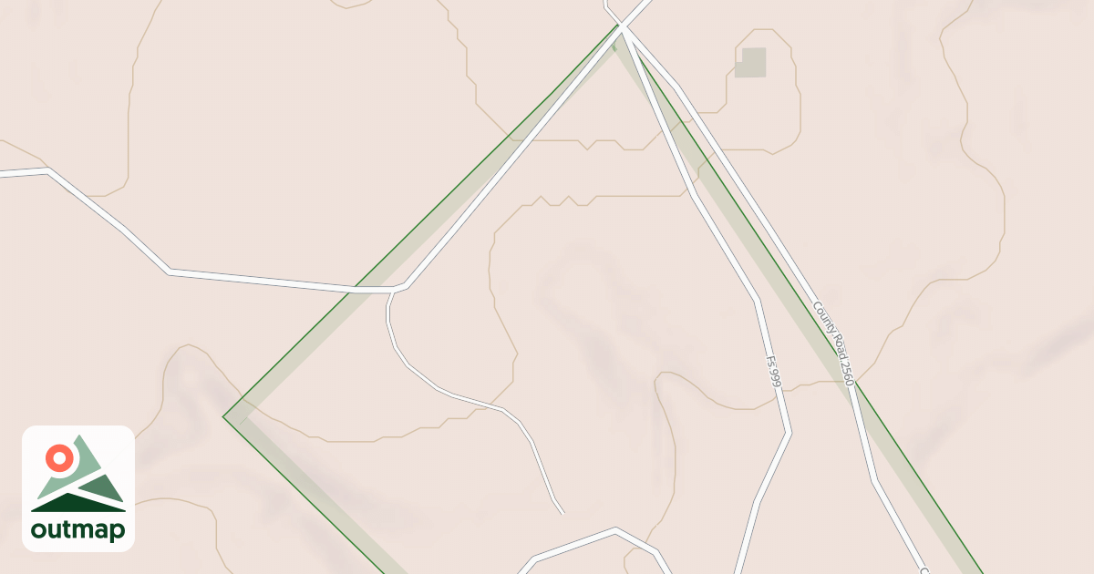 Map of DAN'S POND in Wise
