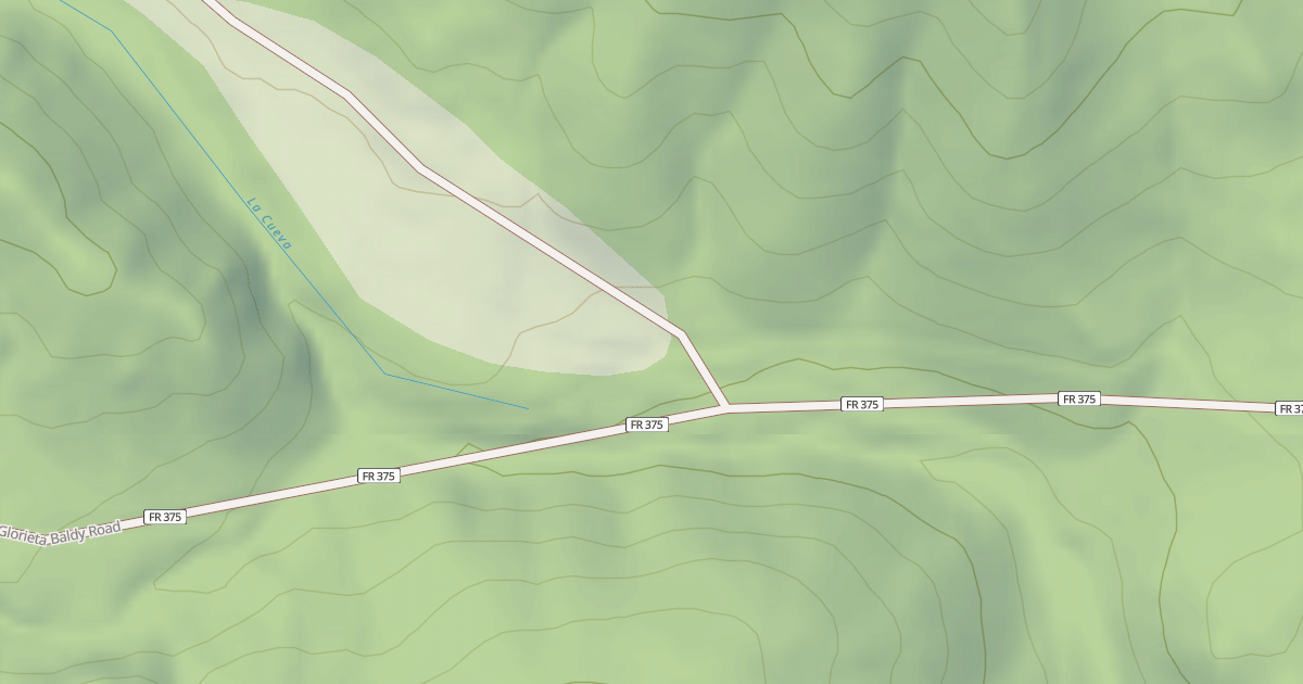 Map preview of USFS National Forest System Roads {06DC441C-00DA-4216-8F30-3421B5753D1E}