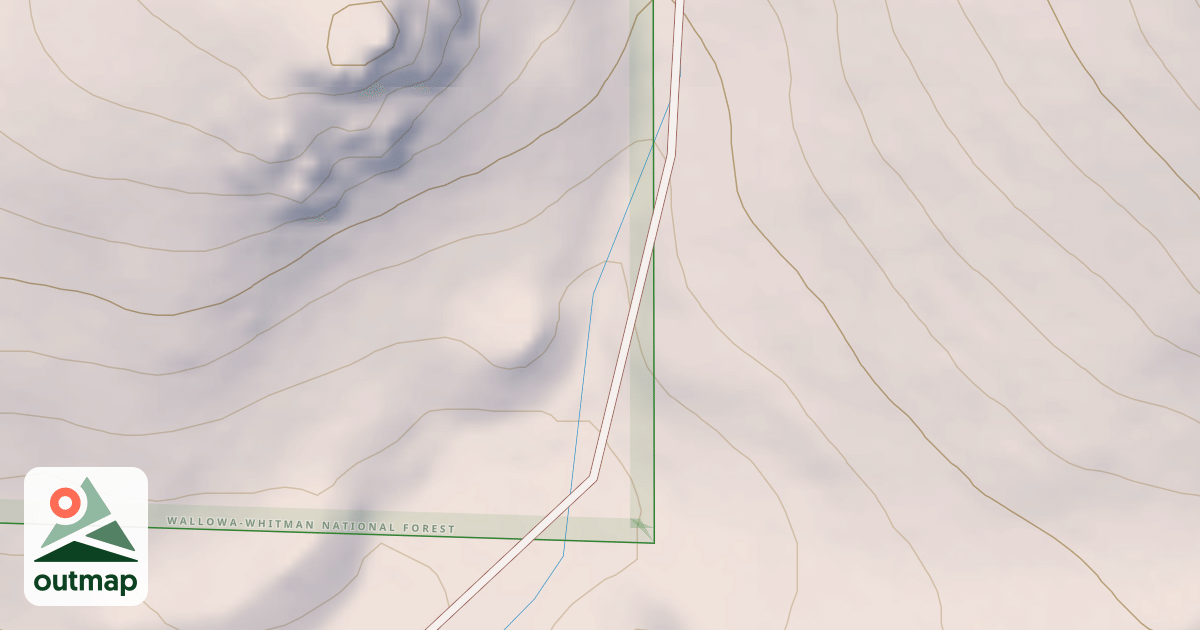 Map of USFS National Forest System Roads {4D993C83-25AE-454D-838B-9311AC36B35A}