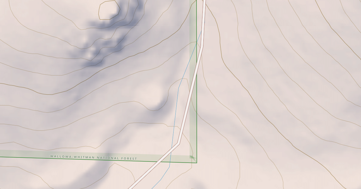 Map preview of USFS National Forest System Roads {4D993C83-25AE-454D-838B-9311AC36B35A}