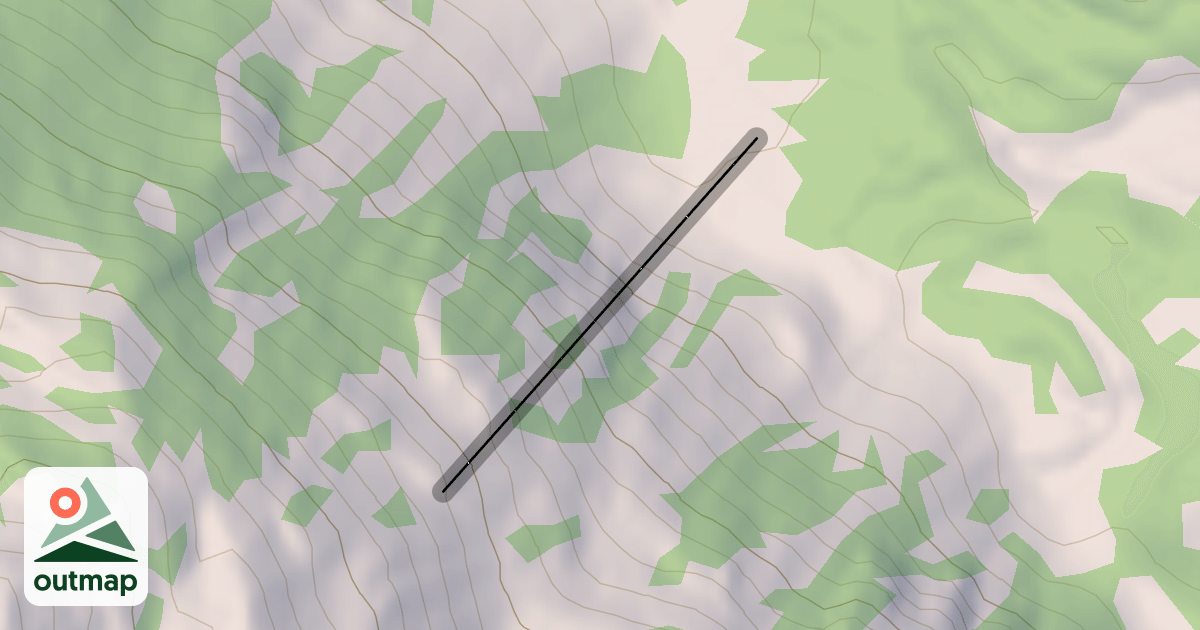 Map of Leaning Tree Chutes