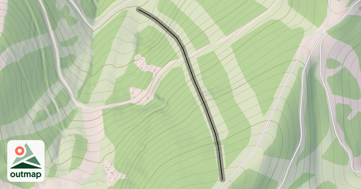 Map of Shady Lady