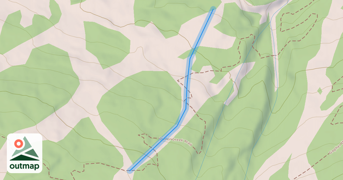 Map of Pine Cone Alley