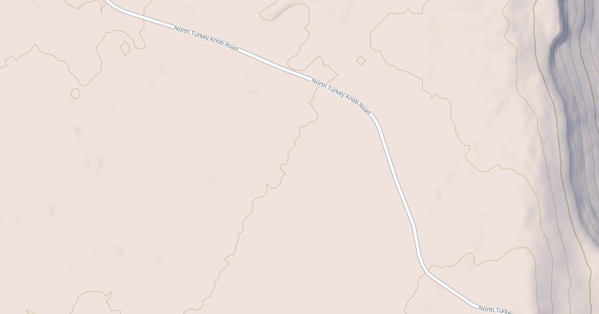 Map preview of BLM National GTLF Public Motorized Roads 203fda8f-71ea-4a55-b1d0-036d37924407