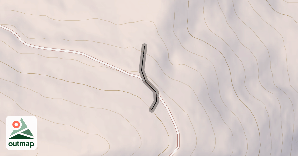 Map of The Grove