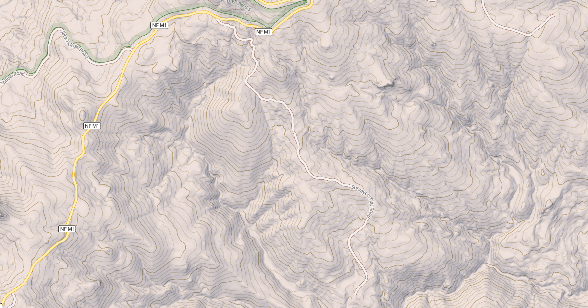 Map preview of SURVEYORS FLAT